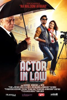 Actor in Law 2016 Movie 720p Downloadhub