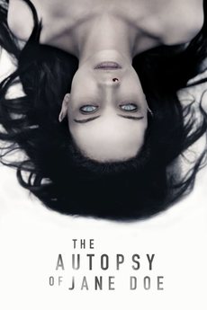 The Autopsy of Jane Doe 2016 Movie 720p Downloadhub