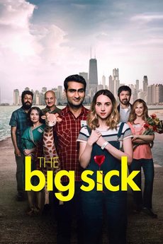 The Big Sick 2017 Movie 720p Downloadhub