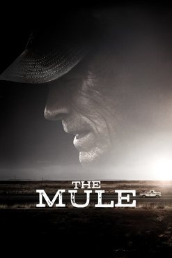 The Mule 2018 Movie 720p Downloadhub