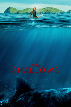 The Shallows 2016 Movie 720p Downloadhub