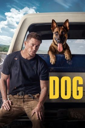 Dog 2022 Movie 720p Downloadhub