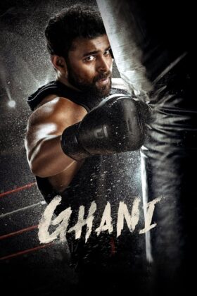 Ghani 2022 Movie Hindi Dual Audio HD 4K 1080p 720p 480p Download & Watch Online Downloadhub