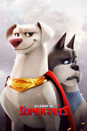 DC League of Super Pets 2022 Full Movie 4K 2160p 1080p 720p 480p AMZN WEB-DL ESubs Download