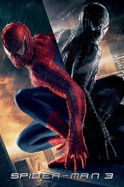 Spider Man 3 (2007) Full Movie Dual Audio [Hindi + English] BluRay ESubs 1080p 720p 480p Download